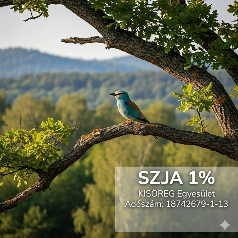 SZJA 1% felajánlás – 2026-ban is!